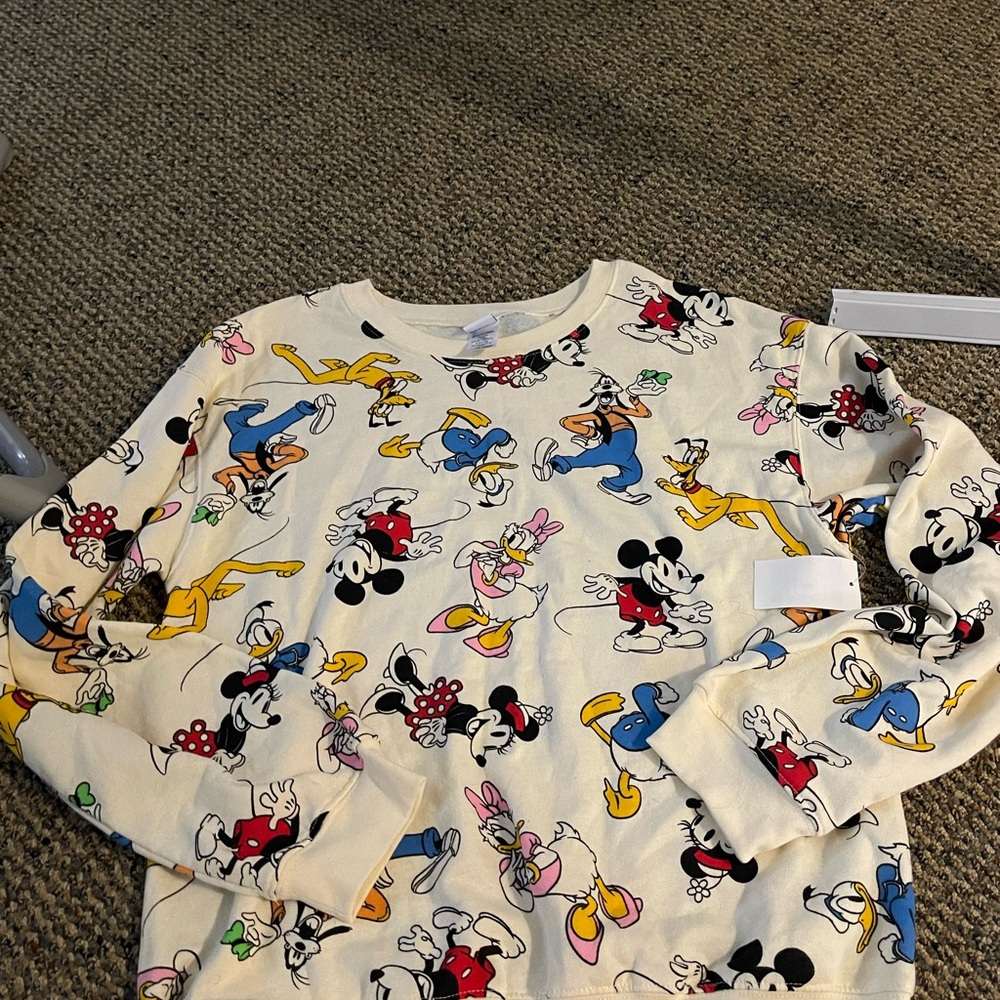 Disney Multicolor Character Sweatshirt